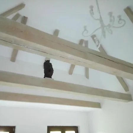 Kutny -chateau Schaal Hegyhatsal